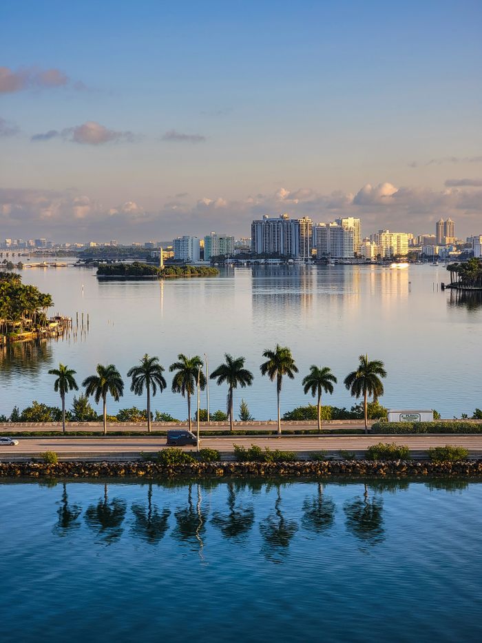Scenic aerial view of a city skyline with palm trees and calm waters, perfect for travel or nature themes.
